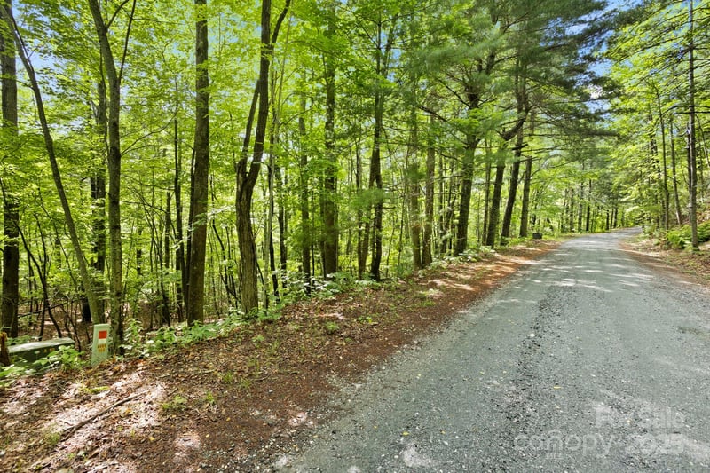 430 Lakeview Dr, Saluda, NC 28773