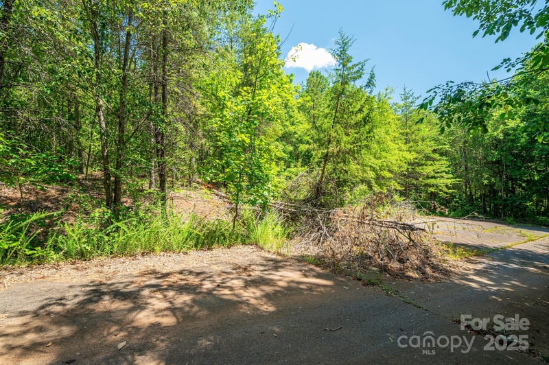 Meadow Crossing Dr, Rutherfordton, NC 28139