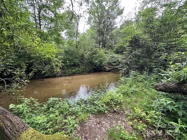 63 Apple Bee Rd, Brevard, NC 28712