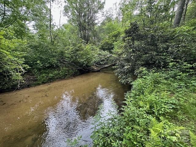 63 Apple Bee Rd, Brevard, NC 28712