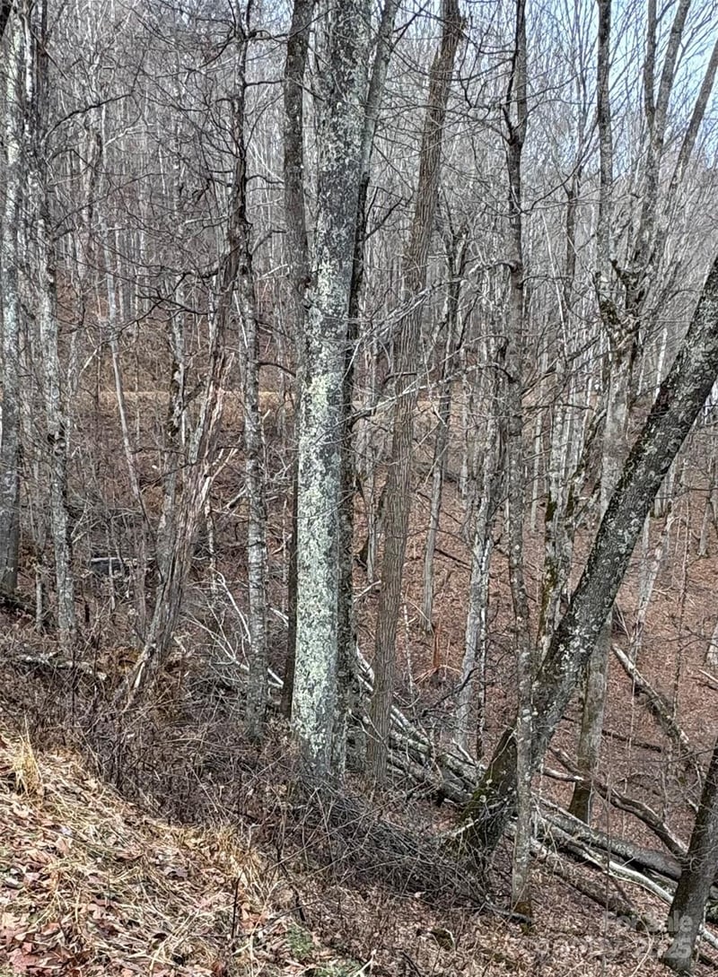 00 Spring Brook Dr #314, Mars Hill, NC 28754