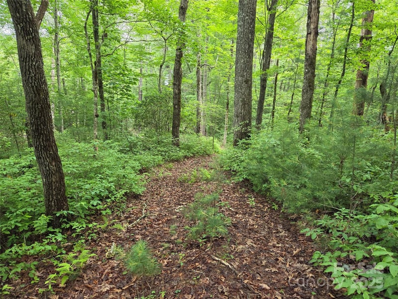 TBD Cedar Ln, Brevard, NC 28712