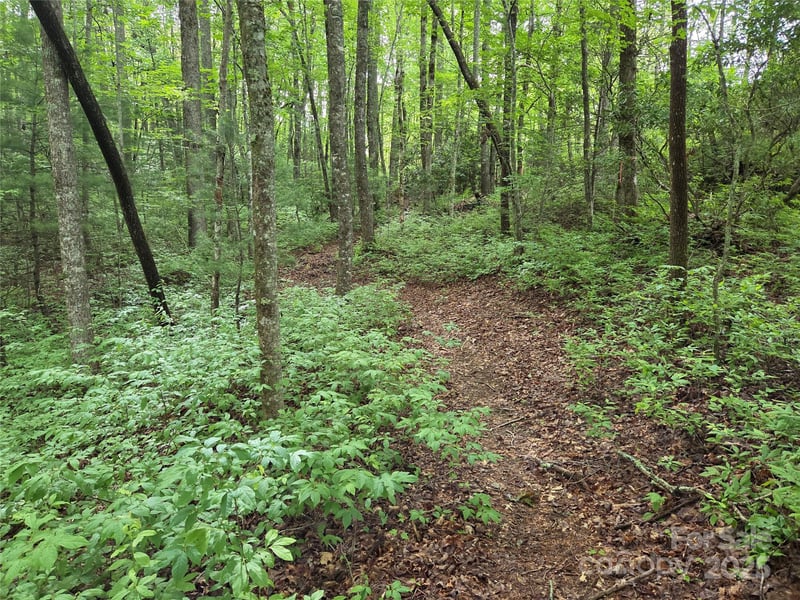 TBD Cedar Ln, Brevard, NC 28712