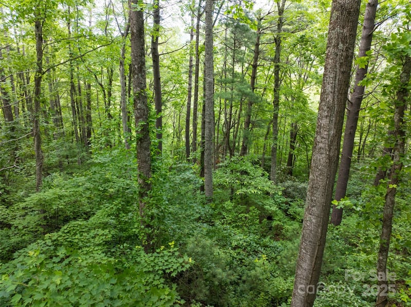 9999 White Oak Gap Rd, Asheville, NC 28803