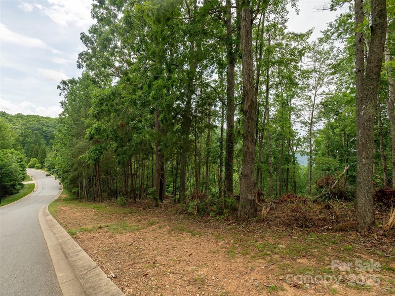 28 Windcliff Dr, Asheville, NC 28803