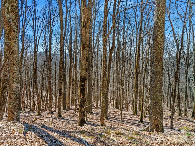 00 Tearshirt Ln #308/309, Mars Hill, NC 28754