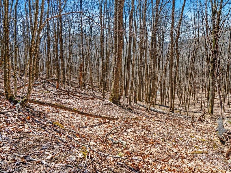 00 Tearshirt Ln #308/309, Mars Hill, NC 28754