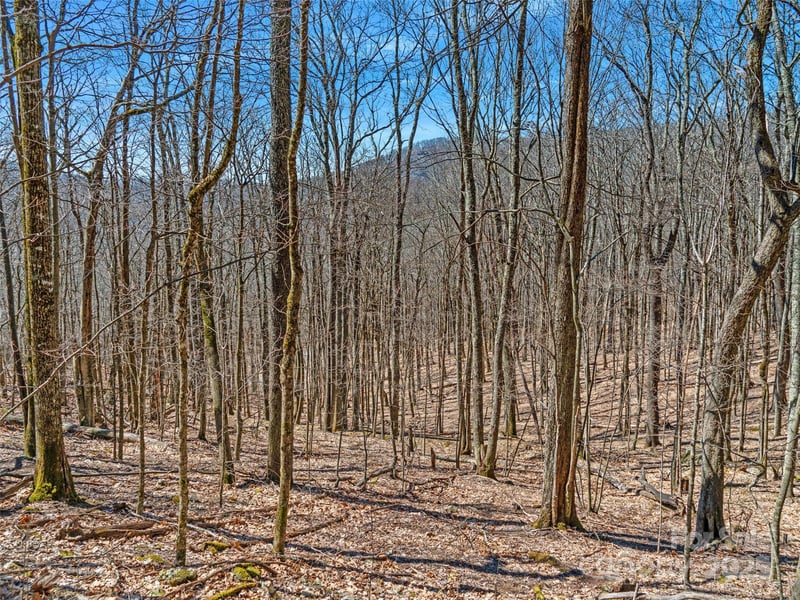 00 Tearshirt Ln #308/309, Mars Hill, NC 28754