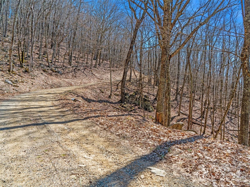 00 Tearshirt Ln #308/309, Mars Hill, NC 28754
