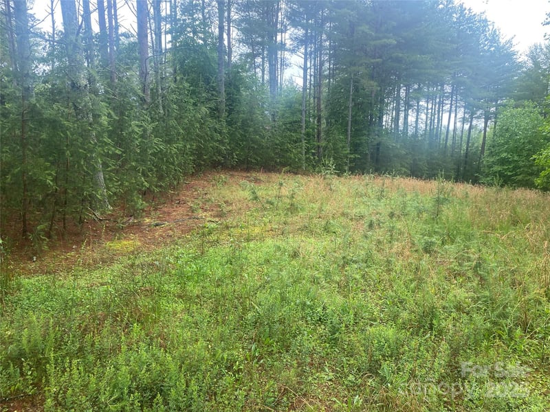 VL Hunt Camp Dr #59, Nebo, NC 28761
