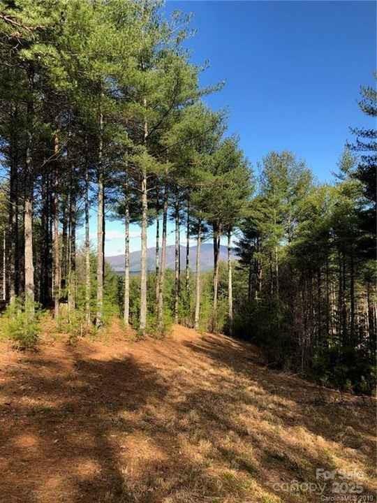 VL Hunt Camp Dr #59, Nebo, NC 28761