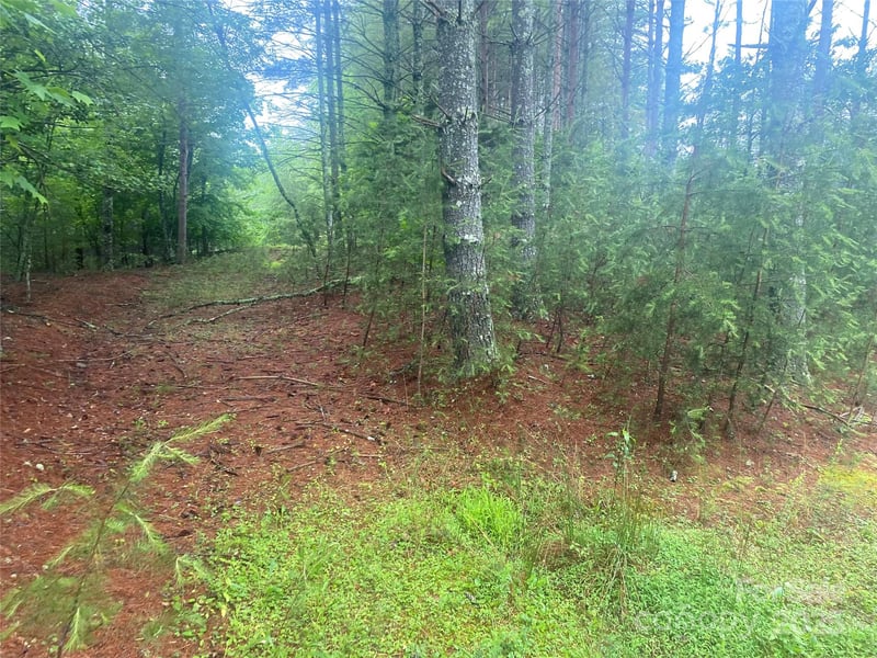 VL Hunt Camp Dr #59, Nebo, NC 28761
