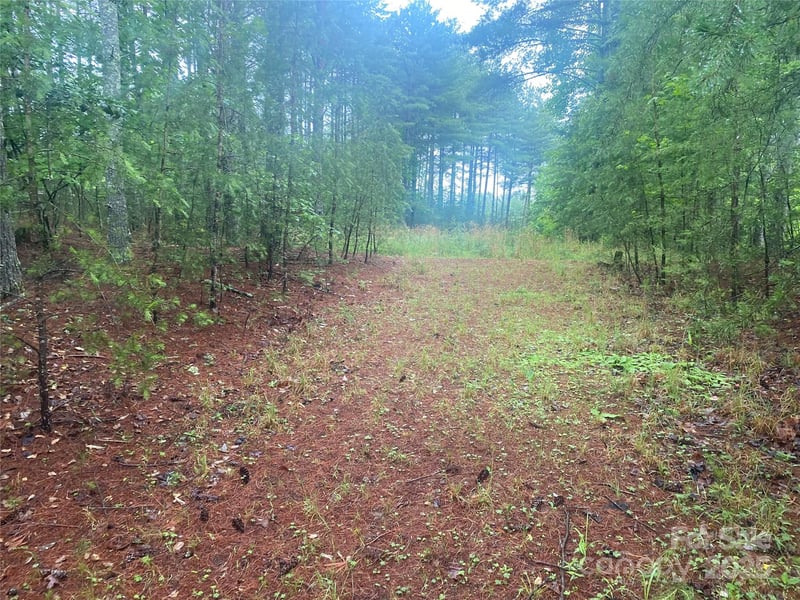VL Hunt Camp Dr #59, Nebo, NC 28761