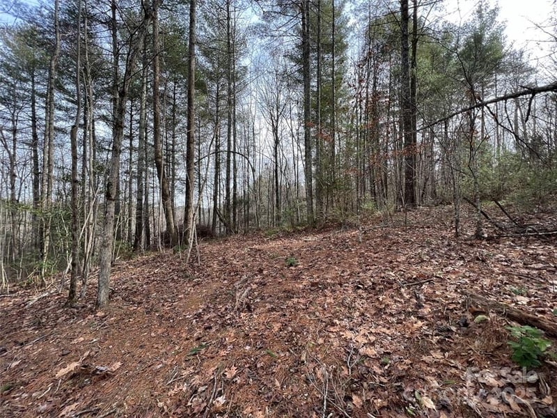 Round Mountain Pw #77, Lenoir, NC 28645