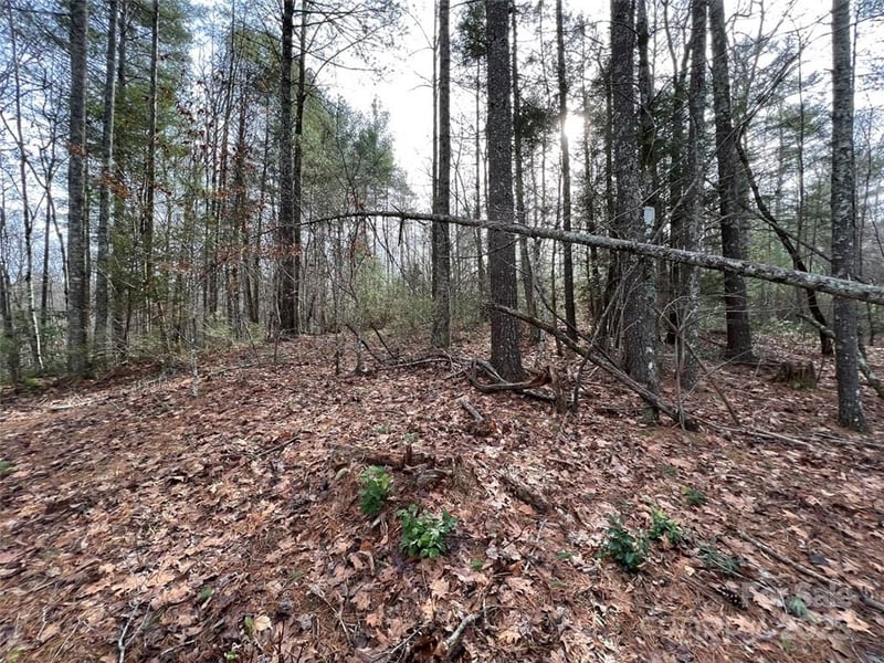 Round Mountain Pw #77, Lenoir, NC 28645