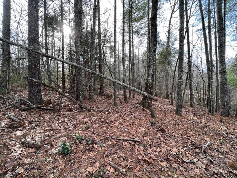 Round Mountain Pw #77, Lenoir, NC 28645