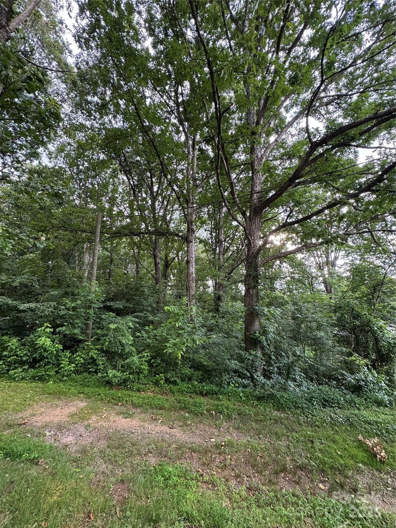 72 Pounders Dr, Asheville, NC 28804