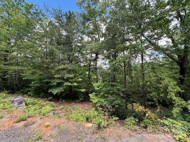 Lot 35A Oakwood Dr #35A, Marion, NC 28752