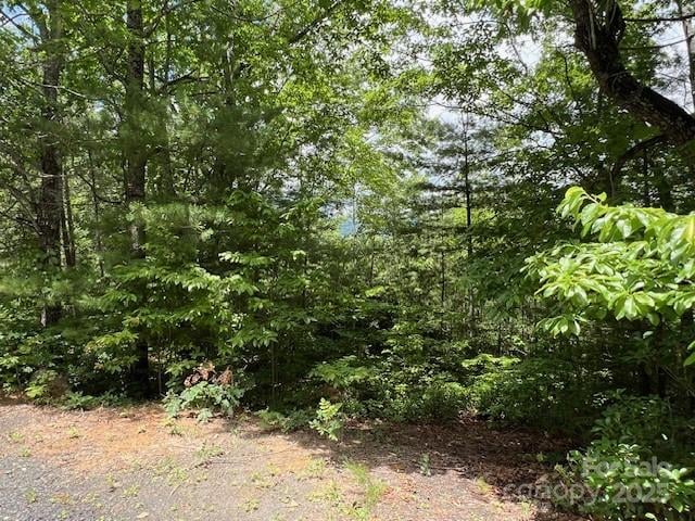 Lot 35A Oakwood Dr #35A, Marion, NC 28752