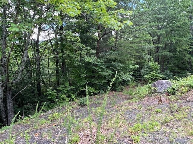 Lot 35A Oakwood Dr #35A, Marion, NC 28752
