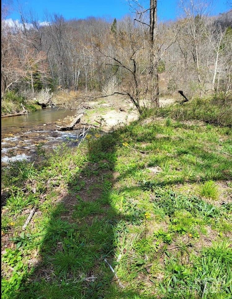 2840 Nc 9 Hw, Black Mountain, NC 28711