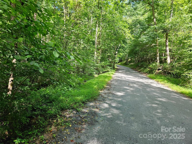 Sandpiper Ave #163, Lake Lure, NC 28746