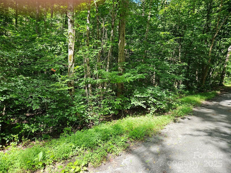 Sandpiper Ave #163, Lake Lure, NC 28746