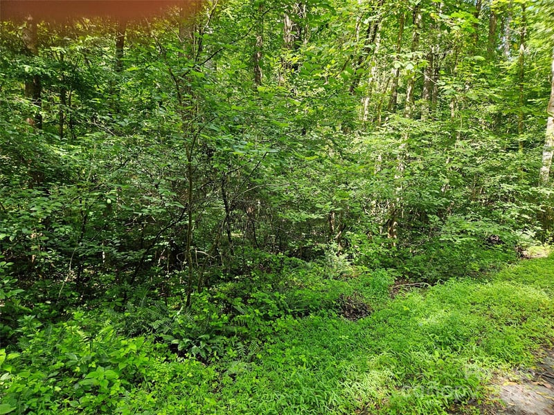 0 Sandpiper Ave #163, Lake Lure, NC 28746