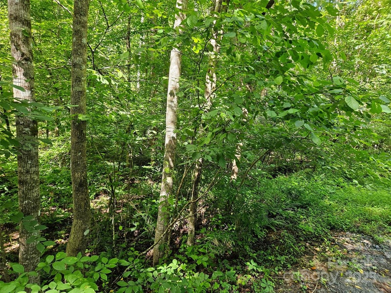 0 Sandpiper Ave #163, Lake Lure, NC 28746