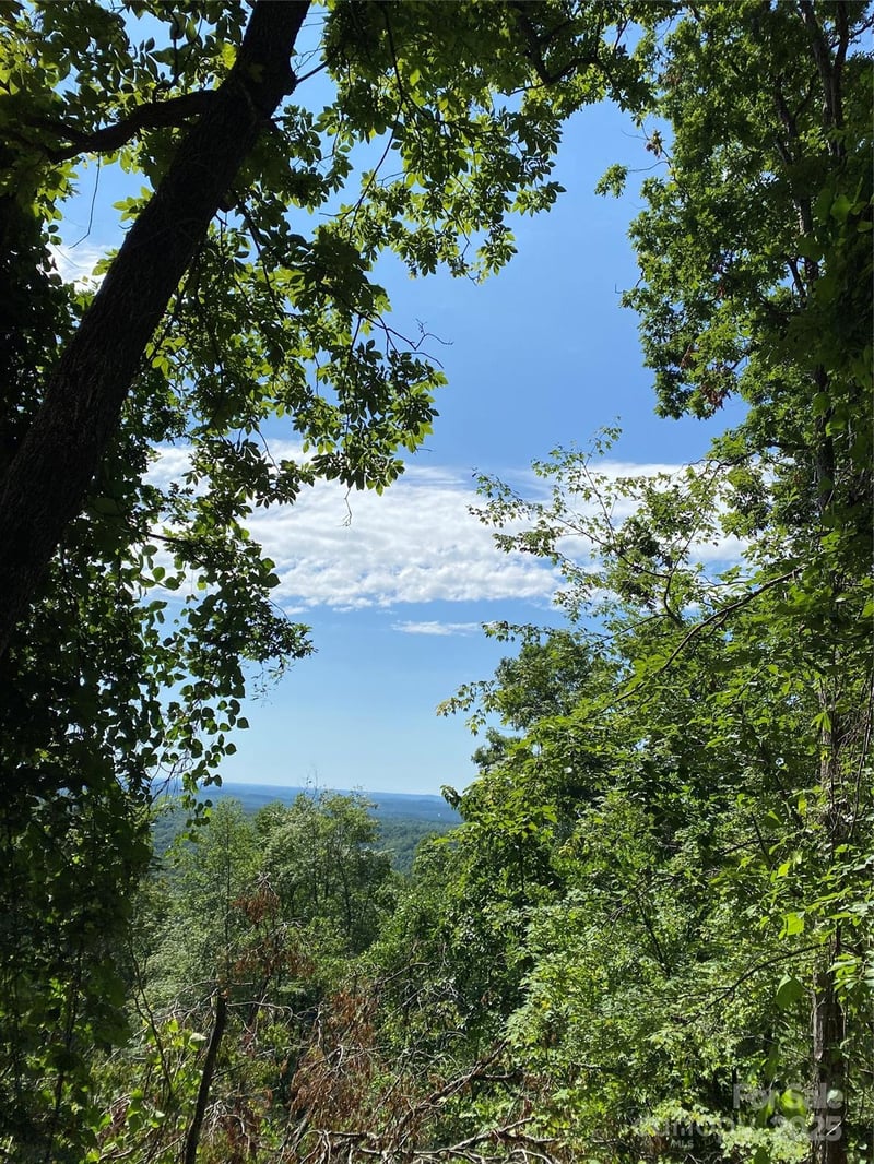 0 Ridgecrest Dr #60, Lake Lure, NC 28746