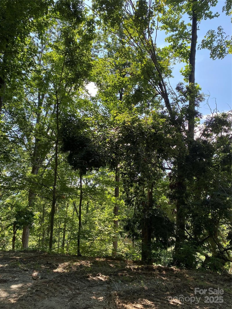 0 Ridgecrest Dr #60, Lake Lure, NC 28746