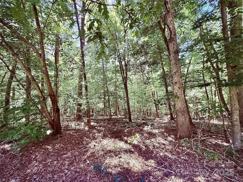 00 Margie Ln, Norwood, NC 28128