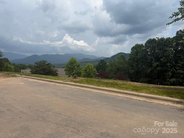 68 Cottage Settings Ln #290, Black Mountain, NC 28711