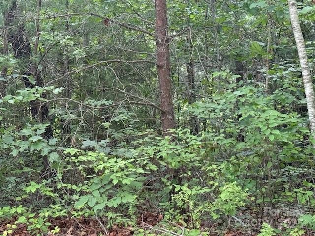 68 Cottage Settings Ln #290, Black Mountain, NC 28711
