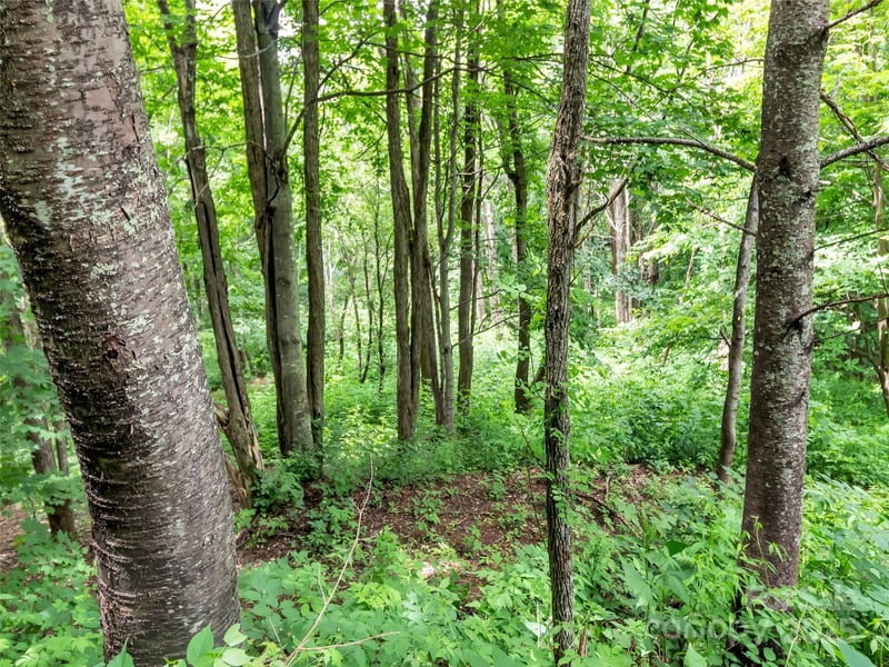 32 Sallywood Trl, Waynesville, NC 28785