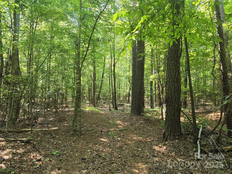 00 Hoke Rd, Heath Springs, SC 29058