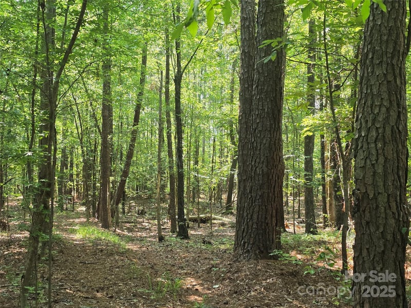 00 Hoke Rd, Heath Springs, SC 29058