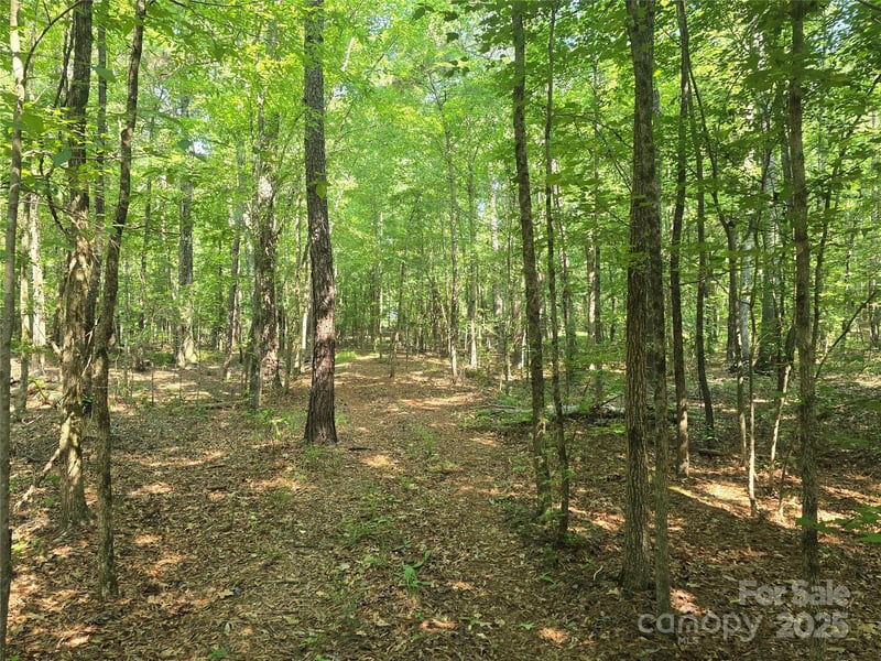 00 Hoke Rd, Heath Springs, SC 29058