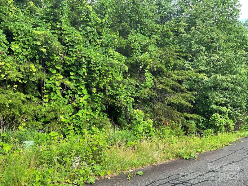Valley View Ct, Hickory, NC 28602