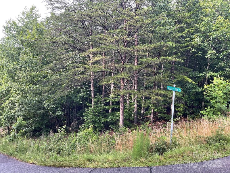 Pineknoll Dr, Hickory, NC 28602
