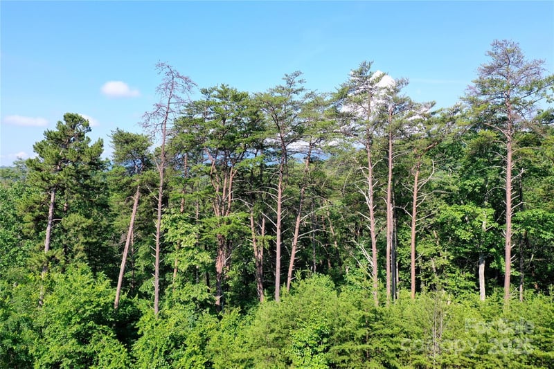 241 Rock Ledge Dr, Lake Lure, NC 28746