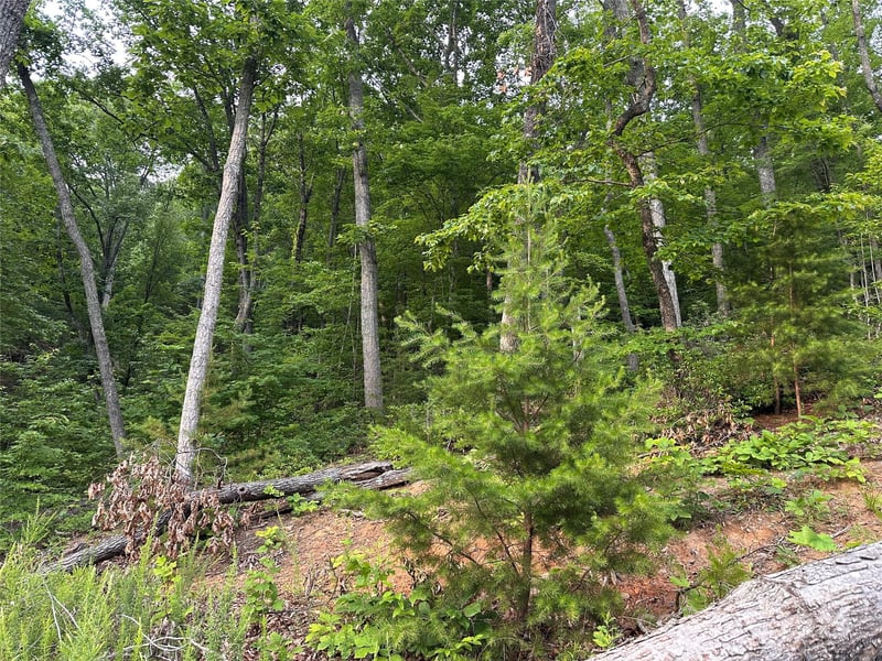 Golden Ridge Dr, Lake Lure, NC 28746