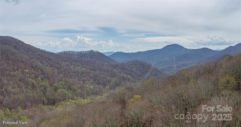 Lot 150 Puncheon Ln, Mars Hill, NC 28754