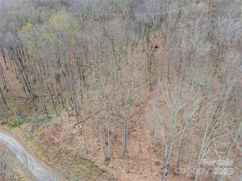 Lot 150 Puncheon Ln, Mars Hill, NC 28754