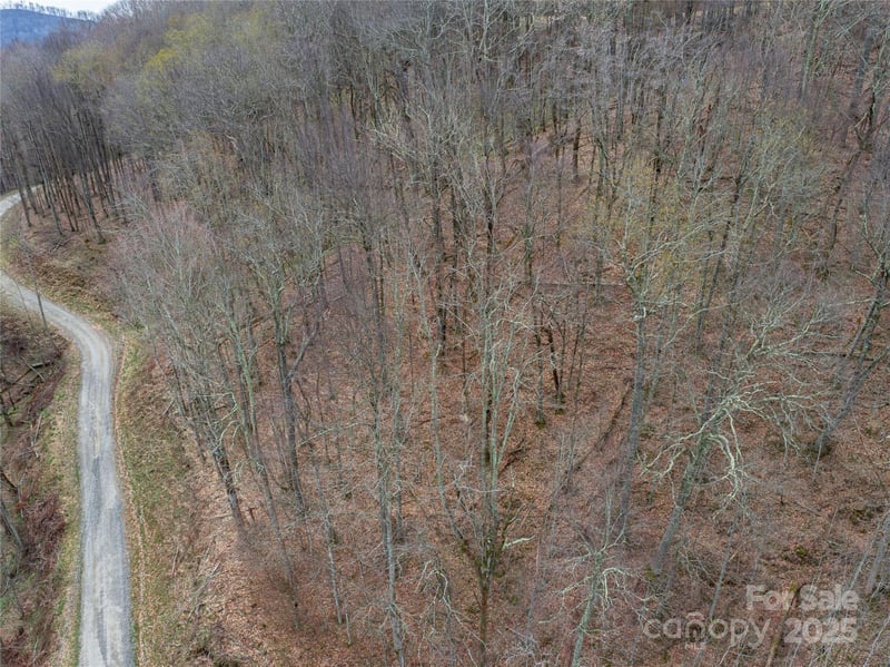 Lot 150 Puncheon Ln, Mars Hill, NC 28754
