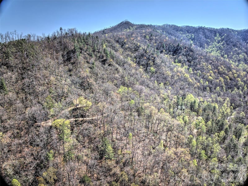 Holly House Rd, Bryson City, NC 28713