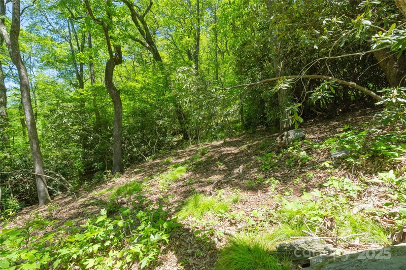 TBD Upper Lake Rd #69, Highlands, NC 28741