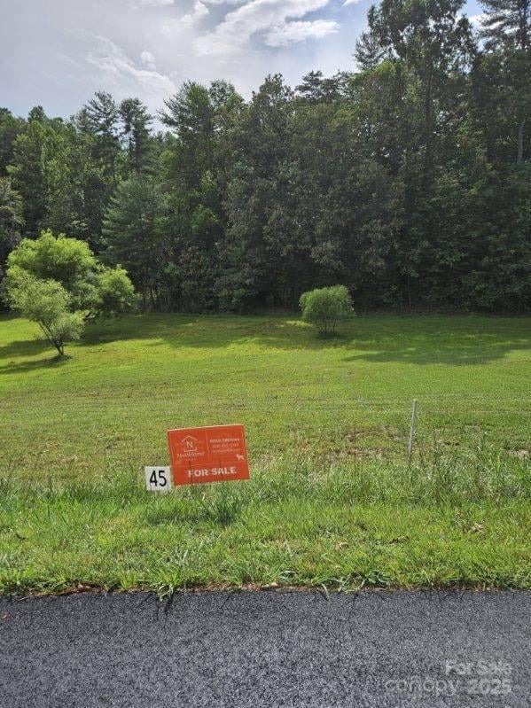 9999 Settlers Trl #45, Mars Hill, NC 28754