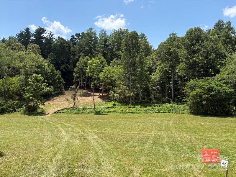 9999 Settlers Trl #48, Mars Hill, NC 28754