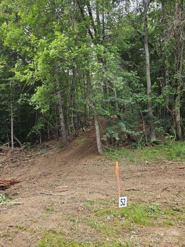 9999 Settlers Trl #52, Mars Hill, NC 28754